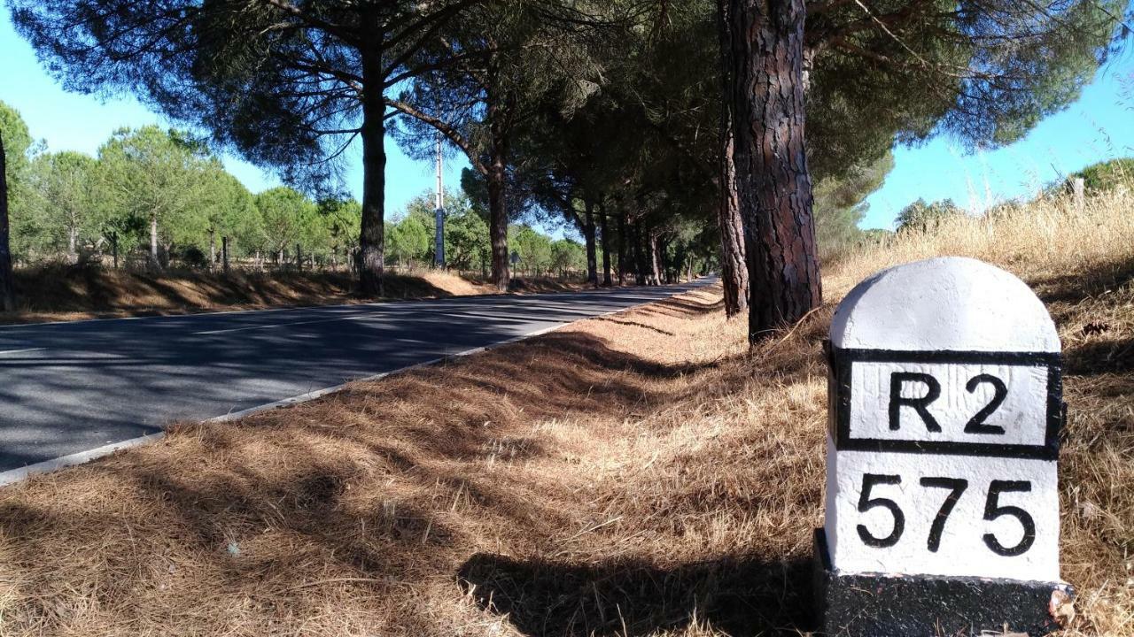 Route 2 Torrao Hotel Eksteriør billede